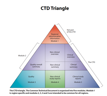 CTD triangle of regulatory affairs in pharmaceutical industry